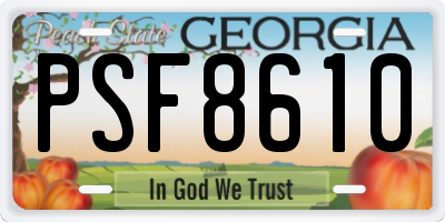 GA license plate PSF8610