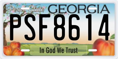 GA license plate PSF8614
