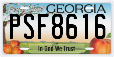 GA license plate PSF8616
