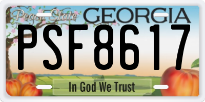 GA license plate PSF8617