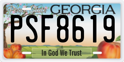 GA license plate PSF8619