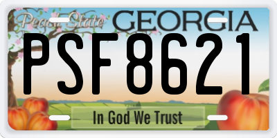 GA license plate PSF8621