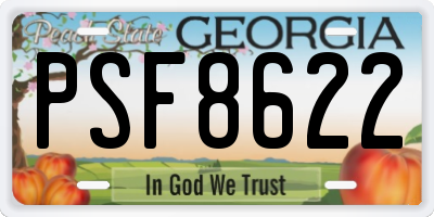 GA license plate PSF8622