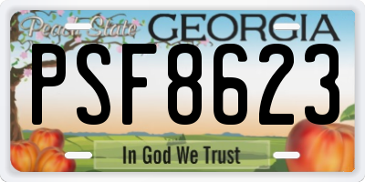 GA license plate PSF8623