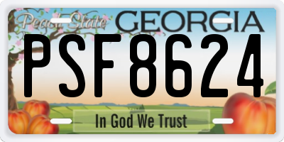 GA license plate PSF8624