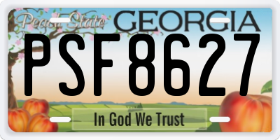 GA license plate PSF8627