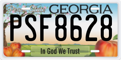 GA license plate PSF8628