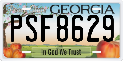 GA license plate PSF8629