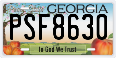 GA license plate PSF8630