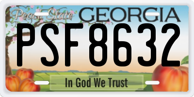 GA license plate PSF8632