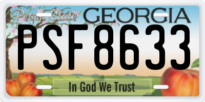 GA license plate PSF8633
