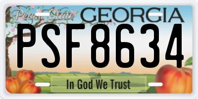 GA license plate PSF8634