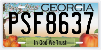 GA license plate PSF8637