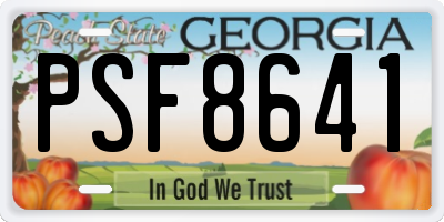GA license plate PSF8641