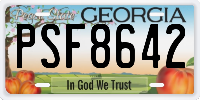 GA license plate PSF8642