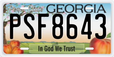 GA license plate PSF8643