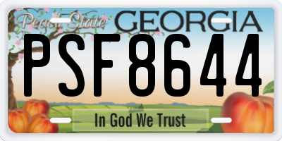 GA license plate PSF8644