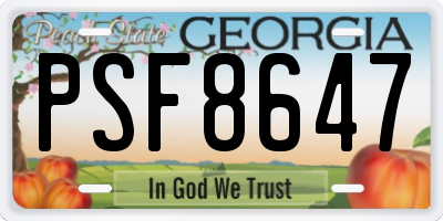 GA license plate PSF8647