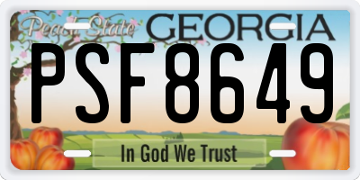 GA license plate PSF8649