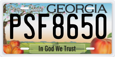 GA license plate PSF8650