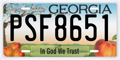 GA license plate PSF8651