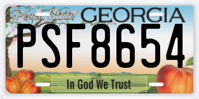 GA license plate PSF8654