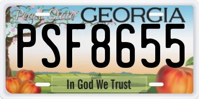 GA license plate PSF8655