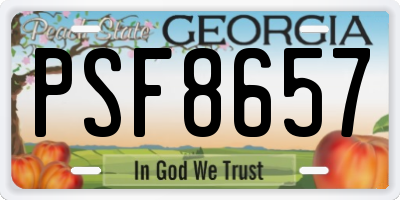 GA license plate PSF8657