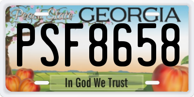 GA license plate PSF8658