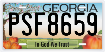 GA license plate PSF8659