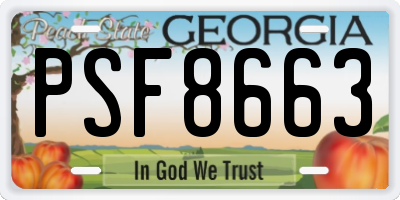 GA license plate PSF8663