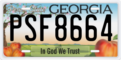 GA license plate PSF8664