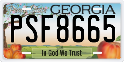 GA license plate PSF8665