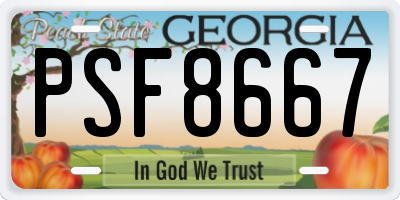 GA license plate PSF8667