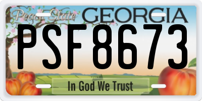 GA license plate PSF8673