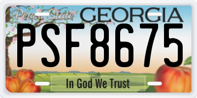 GA license plate PSF8675