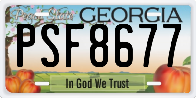 GA license plate PSF8677