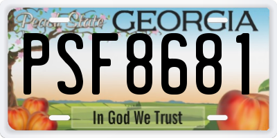 GA license plate PSF8681