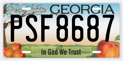 GA license plate PSF8687