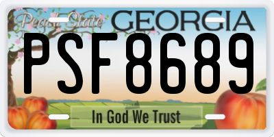 GA license plate PSF8689