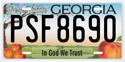 GA license plate PSF8690