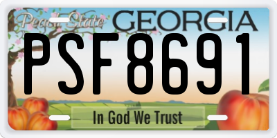 GA license plate PSF8691
