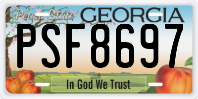 GA license plate PSF8697