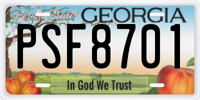 GA license plate PSF8701