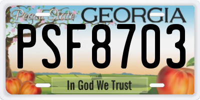 GA license plate PSF8703
