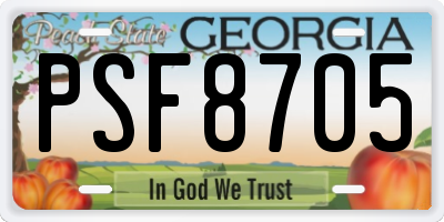 GA license plate PSF8705