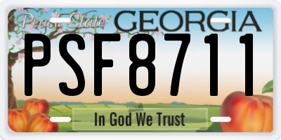 GA license plate PSF8711