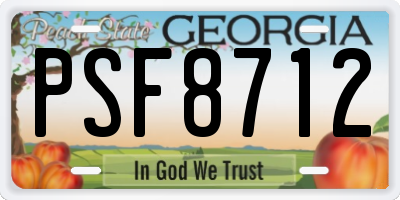GA license plate PSF8712