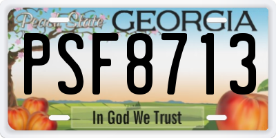 GA license plate PSF8713