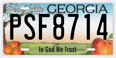 GA license plate PSF8714